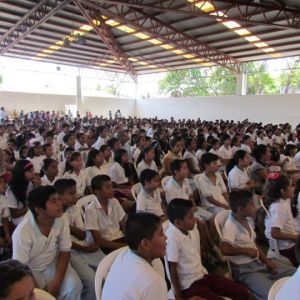   Social